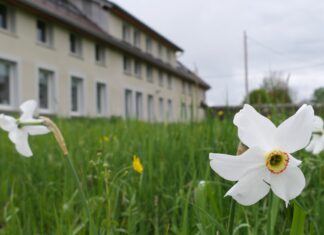 Doubs. Le PNR Doubs Horloger lance un appel à la fauche tardive