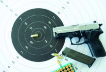 Pontarlier. Une femme politique suisse dérape