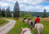 La passion du cheval au cœur des Montagnes du Jura
