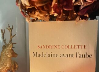Rubrique. Le coin lecture d’Isa : Madelaine avant l’aube de Sandrine Collette
