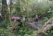 Doubs. Un chantier nature aux Premiers Sapins