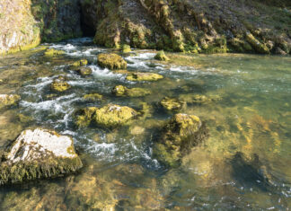 Région. 26 % des rivières en bon état