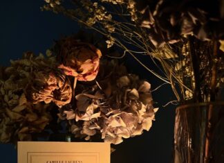 Rubrique. Le Coin Lecteur d’Isa : Ta Promesse de Camille Laurens