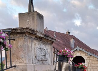 Fleurs Orchamps-Vennes