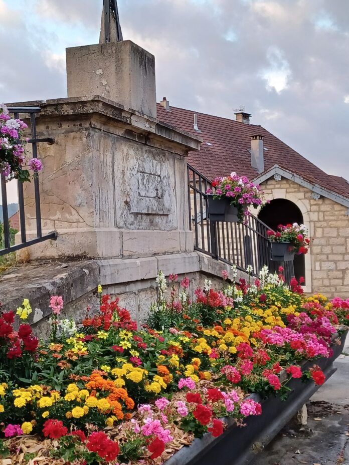 Fleurs Orchamps-Vennes