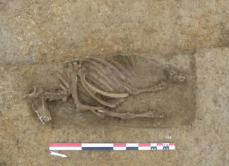 Région. À Dasle, une précieuse découverte lors d’une fouille archéologique