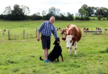 Portrait de Philippe Monnet avec un chien et une vache