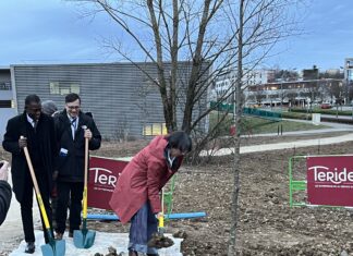 Besançon. Un « corridor vert » pour relier le parc scientifique et le campus universitaire Temis