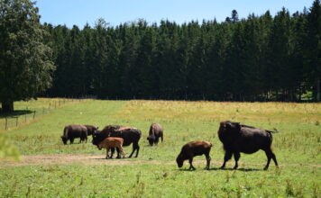 Promotion des métiers du tourisme durable dans le Doubs Horloger