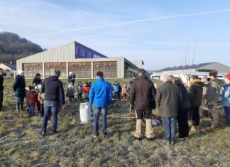 Un verger conservatoire sort de terre.