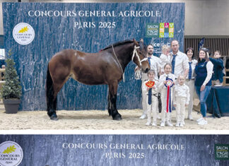 Haut-Doubs. Salon de l’Agriculture 2025 : de nombreuses médailles pour le Haut-Doubs ! Salon de l’Agriculture 2025, de nombreuses médailles pour le Haut-Doubs !