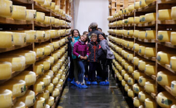 Deuxième édition des Rendez-vous du Comté