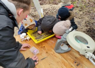Les élèves vont sur le terrain pour observer la faune et la flore.