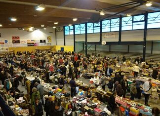 Vide Grenier de l'OMS de Vercel
