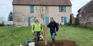 Plantation en cours à Mercey Le Grand