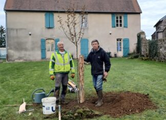 Plantation en cours à Mercey Le Grand