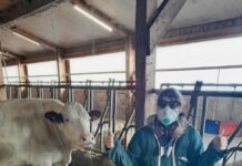 Justine Aymonin, agricultrice de 25 ans, est touchée par la maladie de Lyme