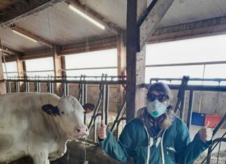 Justine Aymonin, agricultrice de 25 ans, est touchée par la maladie de Lyme