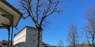 Au Grand Cours, la Ville de Pontarlier va se doter d’une nouvelle aire de jeux