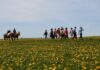 Randonnée des Fruitières à Comté