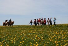 Randonnée des Fruitières à Comté