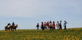 Randonnée des Fruitières à Comté