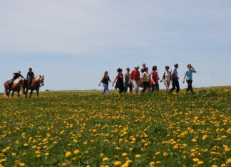 Randonnée des Fruitières à Comté