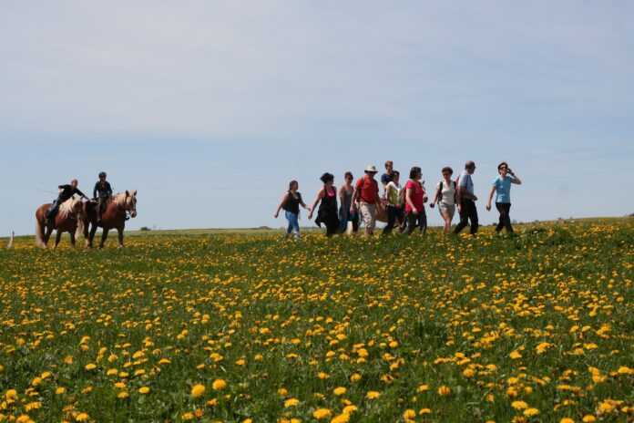 Randonnée des Fruitières à Comté