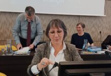 Besançon. Frais de mandat : la maire Anne Vignot se montre transparente Anne Vignot