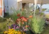 Fête des plantes de Palise