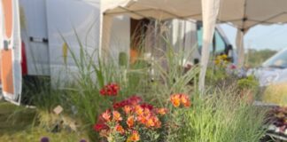 Fête des plantes de Palise
