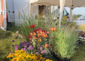 Fête des plantes de Palise