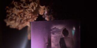 Premier de couverture Silvia Avallone Coeur Noir
