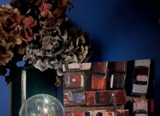 Rubrique. Le coin lecture d’Isa : Chiens des Ozarks, de Eli Cranor Photo du livre « Chiens des Ozarks » d’Eli Cranor posé près d’une lampe sous verre éclairée, devant un vase avec des fleurs, sur un fond bleu.