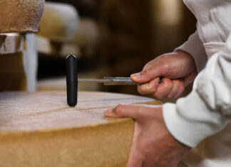 Comté Bourgogne Franche Comté