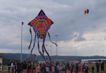 festival du Cerf-Volant