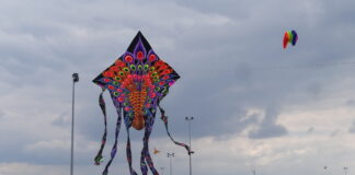 festival du Cerf-Volant