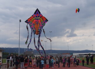 festival du Cerf-Volant
