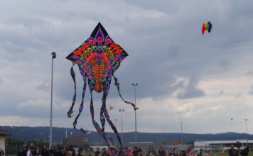 Pontarlier. Le festival du Cerf-Volant fête ses 25 ans festival du Cerf-Volant