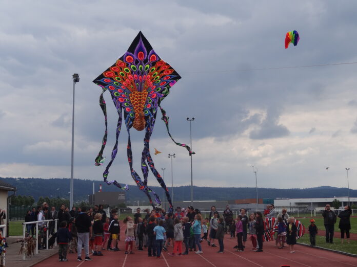 festival du Cerf-Volant
