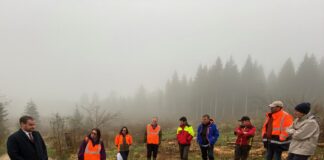 Le préfet Rémi Bastille a rencontré les différents acteurs de la filière bois-forêt