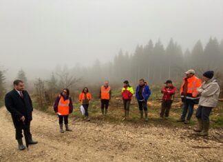 Haut-Doubs. L’État soutient la filière bois-forêt face aux difficultés Le préfet Rémi Bastille a rencontré les différents acteurs de la filière bois-forêt