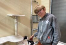 bénévole de ma spa de Pontarlier avec un chat