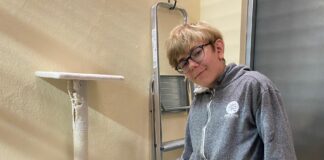 bénévole de ma spa de Pontarlier avec un chat