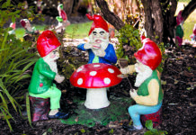 mises en scène avec des lutins et des farfadets