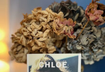livre Chloë Ashby, Repentirs