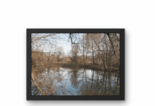 photo dans un tableau du marais