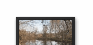 photo dans un tableau du marais