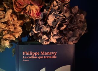 Rubrique. Le coin lecture d’Isa : La colline qui travaille, de Philippe Manevy Couverture du roman La colline qui travaille de Philippe Manevy, montrant une illustration urbaine avec immeubles, voiture et cloche décorative à fleurs séchées.