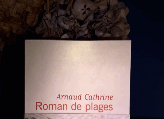 Couverture du livre Roman de plages d'Arnaud Cathrine, représentant une plage ensoleillée avec des personnes au bord de l'eau.